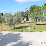 Serena וילה אלגהרו