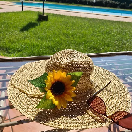 Serena * Альгеро