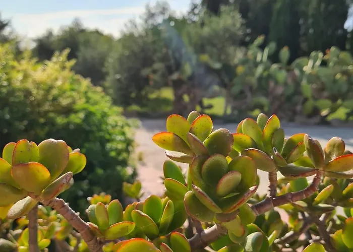 Villa Serena Alghero